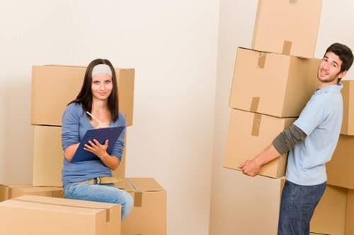 Professional moving support with boxes and furniture in Holland Park