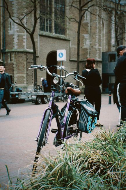 https://manandvanhollandpark.org.uk/blog/hidden-fees-in-holland-park-removals-what-to-know/