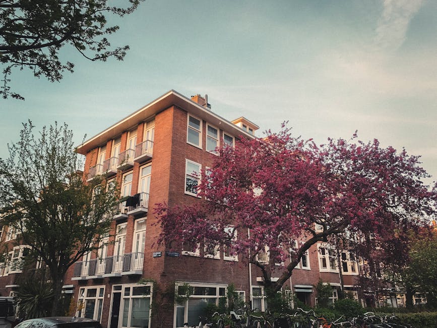 Photograph of a multi-storey residential building with a brick facade and large windows, situated on a tree-lined street in Holland Park. In the foreground, a flowering pink-blossom tree partially obscures the building's lower floors. To the left, a green leafy tree extends across the scene, and parked bicycles and cars are visible near the building's entrance. The scene is illuminated by natural daylight with a partly cloudy sky overhead. The image captures a typical London residential setting, relevant to home relocation and furniture transport services offered by Man and Van Holland Park, illustrating an outdoor environment where packing and loading processes might take place during house removals in the W11 area.