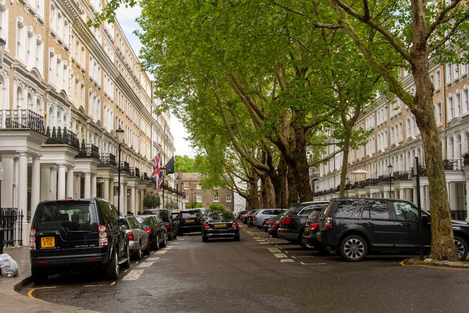 A residential street scene showing a row of white Victorian-style terraced houses with black wrought iron balconies. The street is lined with large, leafy green trees whose branches extend over the road, creating a canopy. Parked cars of various sizes and colors are aligned along both sides of the street, including a black van with a visible registration plate facing away from the viewer. The pavement appears clean and well-maintained, with some dark patches from recent rain. The vehicles are positioned within designated parking bays marked by white dashed lines. In the background, additional buildings are visible, along with a distant view of more trees. The scene is illuminated by diffuse daylight, indicating a cloudy or overcast sky, making it suitable for a home relocation or furniture transport service like Man and Van Holland Park, which operates in this area, handling property moves and logistics with care and efficiency.