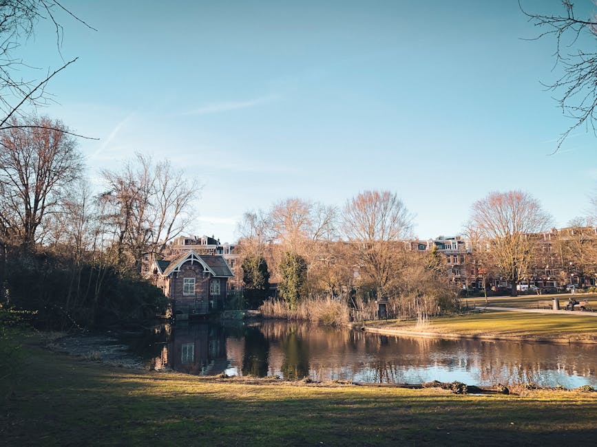 A scenic view of a residential area in Holland Park featuring a small pond with calm water reflecting the surrounding trees and sky, which is clear with a few wispy clouds. In the foreground, there is a grassy area leading to the pond, with some rocks along the water's edge. Behind the pond, there are multiple multi-storey brick houses with sloped roofs and large windows, set among leafless or partially leafless trees, indicating a late autumn or winter season. These houses are situated along a street visible in the background, with parked cars and some street lighting. The overall scene suggests a peaceful neighborhood environment. As part of a home relocation or furniture transport process, the image may represent the outdoor setting where a Man and Van Holland Park team could be preparing for or completing house removals, with the tranquil park providing the backdrop for loading or unloading furniture or boxes in the vicinity of the property.